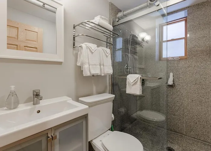 Apartment Quiet Oasis Only Minutes From Downtown - Friendly Neighborhood! Apts Chicago